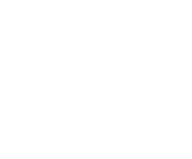 London Stadium Logo